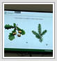 <img src=wydarzenia/2425/20250526lesnadydaktyka/001.jpg />